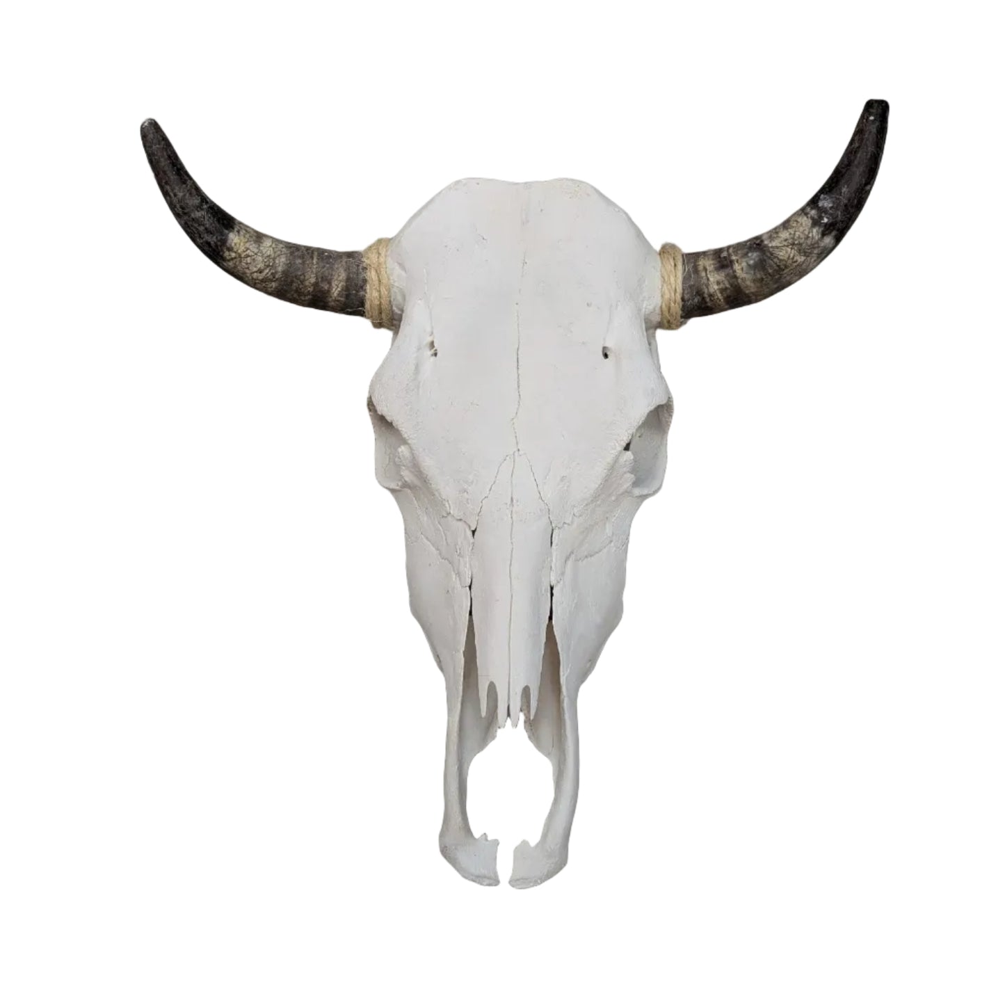 Skull (X63A) - Genuine Cow (Plain)