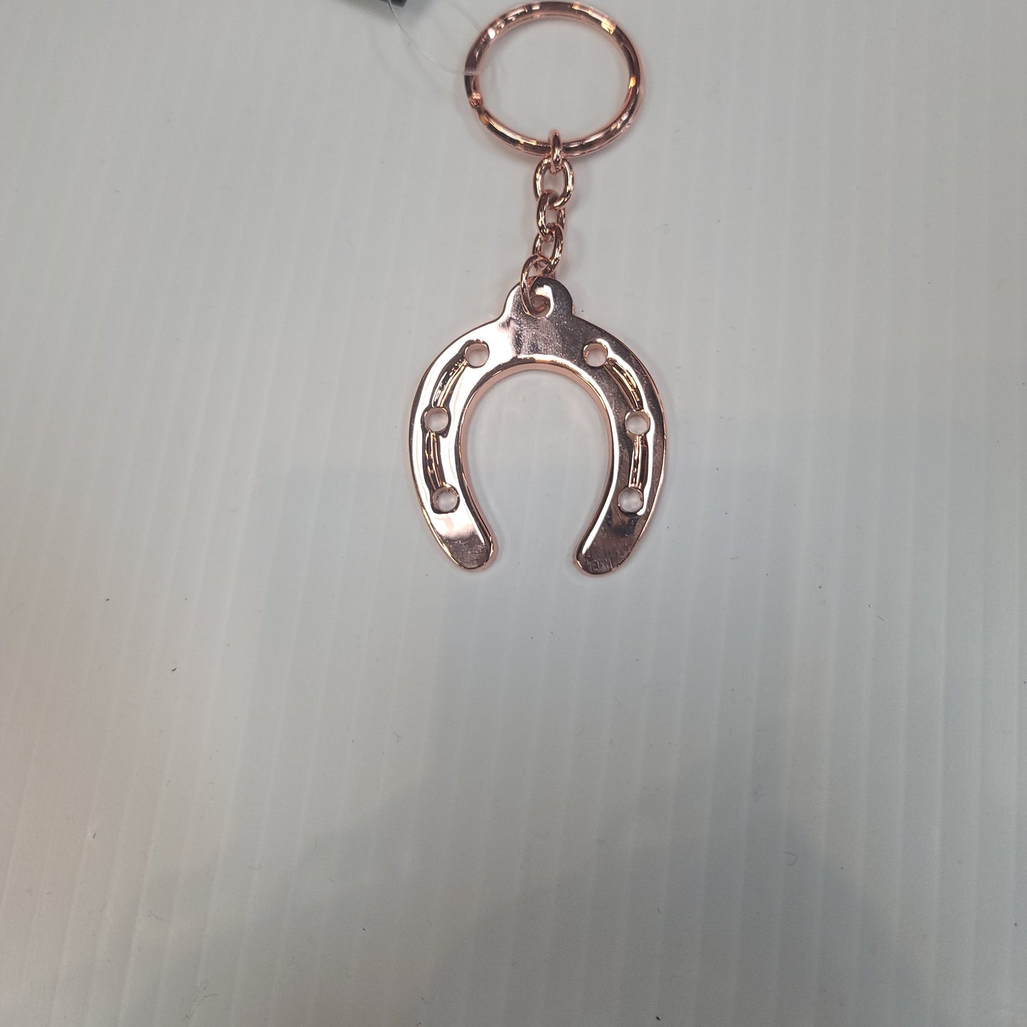 Keychain DC (2309699) - Assorted Colour Horseshoe