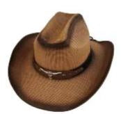 Hat *DNO (CB200) Western Straw with Longhorn Hatband