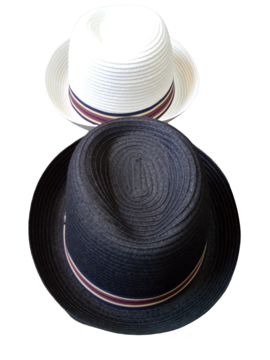 Hat DC (FD105-ASST) - Fedora Wave - One Size Fits Most