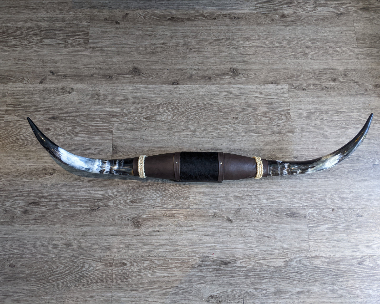 Horns (X63C-HP) -Steer Horn 4'