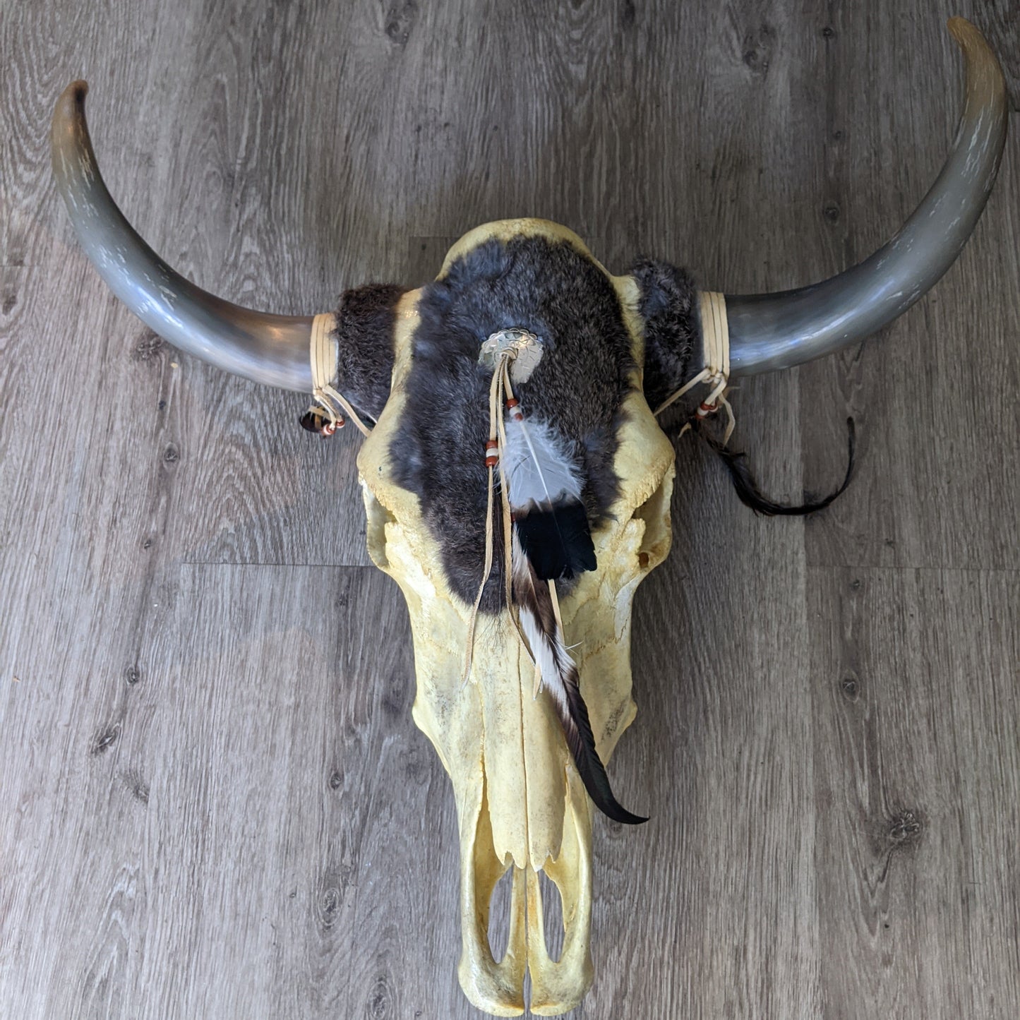 Skull (X63A-F) - Cow with Fur (Plain)