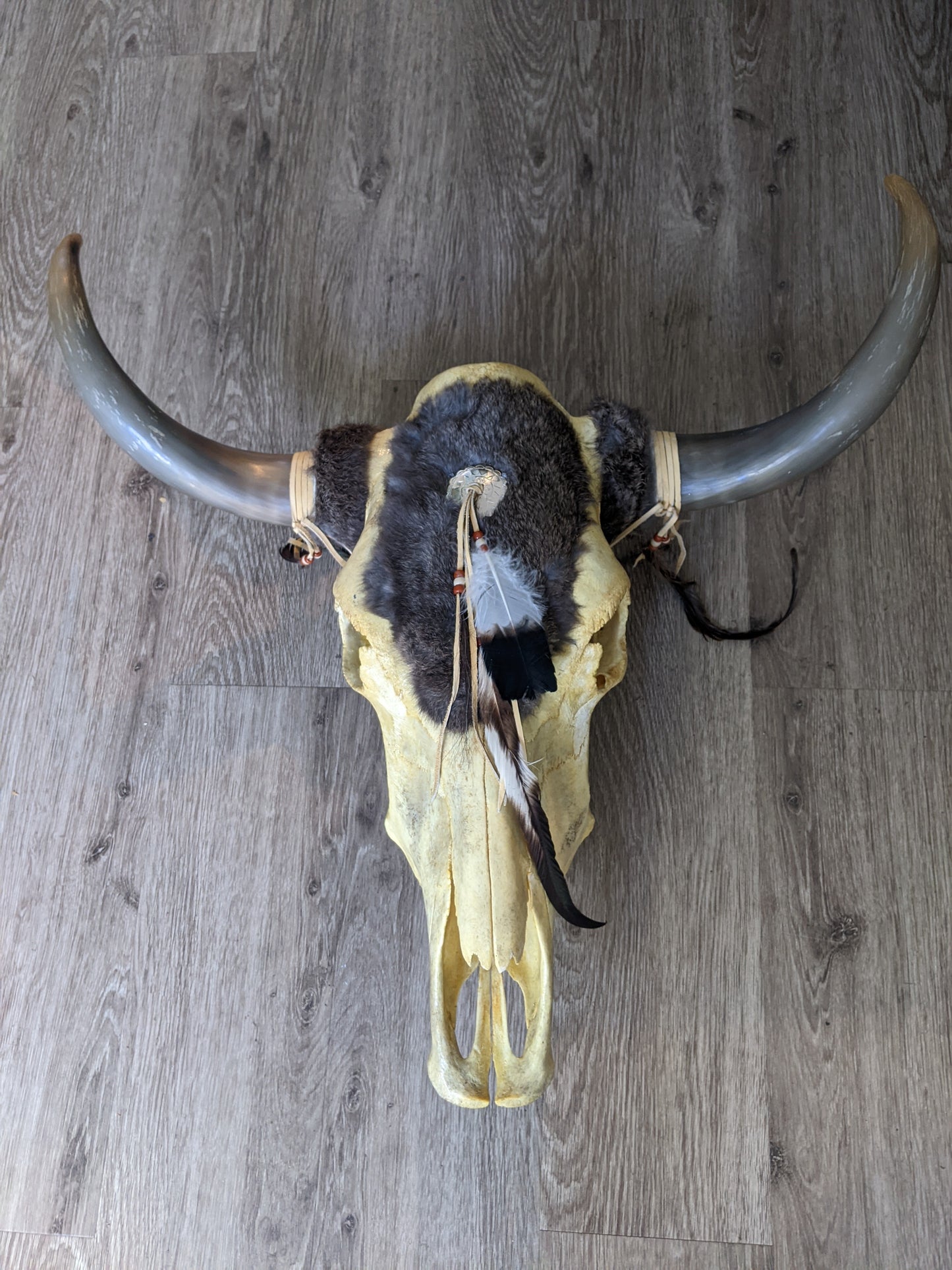 Skull (X63A) - Genuine Cow (Plain)