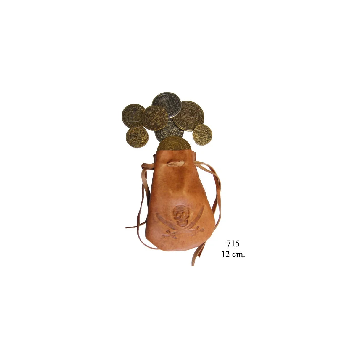 Coins (07715) - Novelty Coins with Leather Bag
