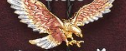 Bolo Tie (2158-L) - Silver and Gold Eagle