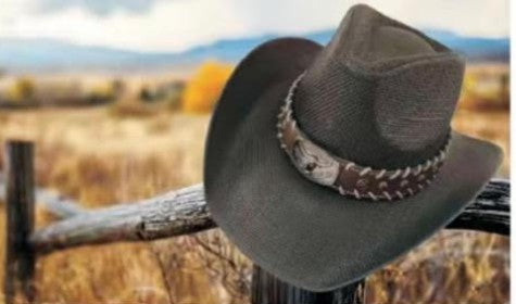 Hat *DNO (CB200) Western Straw with Longhorn Hatband