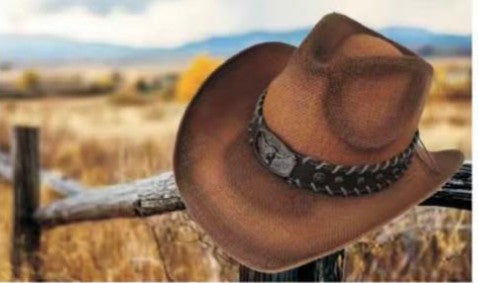 Hat *DNO (CB200) Western Straw with Longhorn Hatband