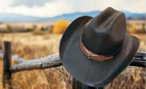 Hat CCL (CB500) Western Straw Hats with Longhorn Hatband