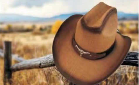 Hat *DNO (CB500) Western Straw Hats with Longhorn Hatband