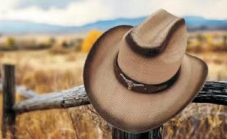 Hat *DNO (CB500) Western Straw Hats with Longhorn Hatband