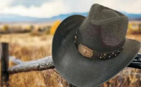 Hat *DNO (CB600) Western Straw Hats with Longhorn Hatband