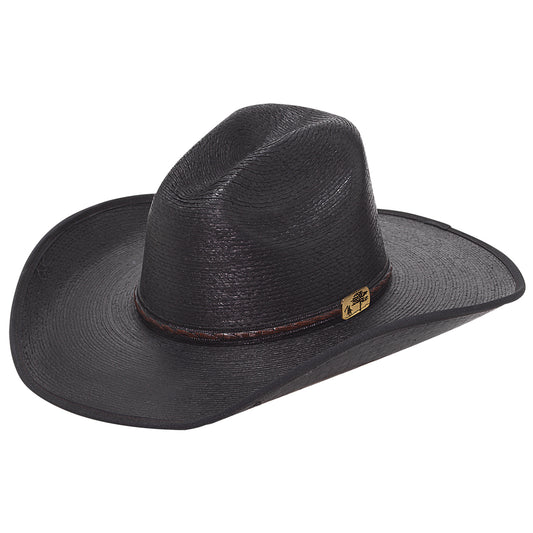 Hat (D5311301) - Twister Palm - Black